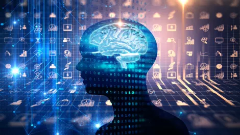 Thinkstockphotos 655400970