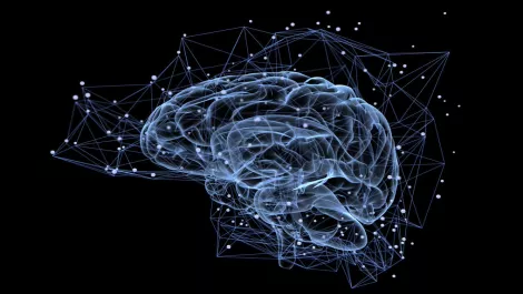 Western Sydney University Online takes students inside the mind of a cybercriminal