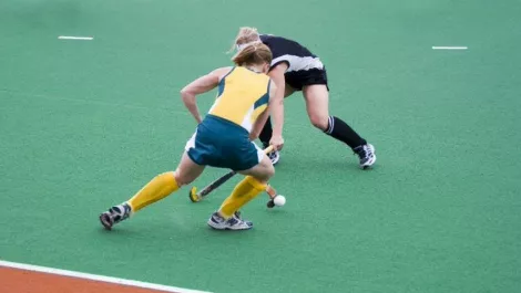 Hockey large
